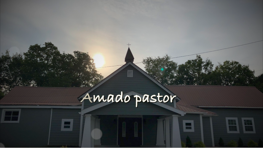 Amado pastor, canción para el pastor, éxitos de adoracion, día del pastor, musica para el pastor, cancion para el día de pastor, amado pastor acordes, amado pastor letras